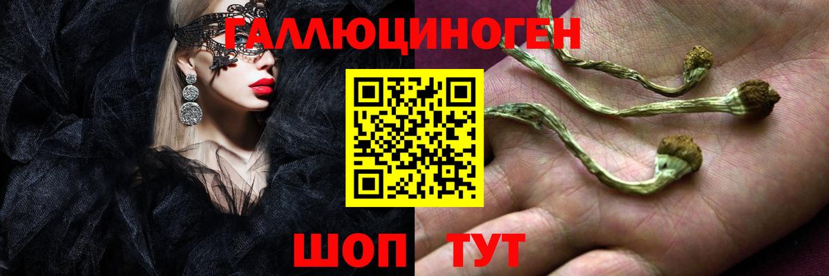 Псилоцибиновые грибы Cubensis Находка